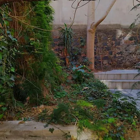 Loft Centro Ingresso Indipendente Giardino Privato Appartement